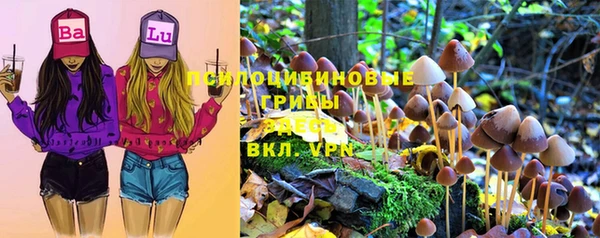 ALPHA PVP Алексин