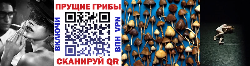 Галлюциногенные грибы мицелий  Почеп 